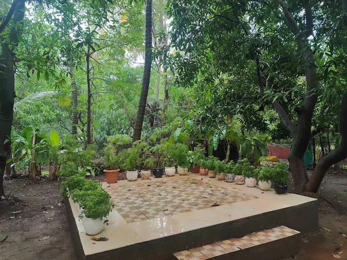 Mandewal Farm photo 4